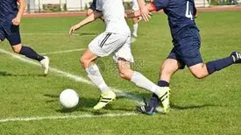 福建浔兴CBA新赛季力争突破