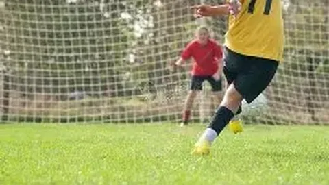 纪检风云：女明星入狱风波，章节更新